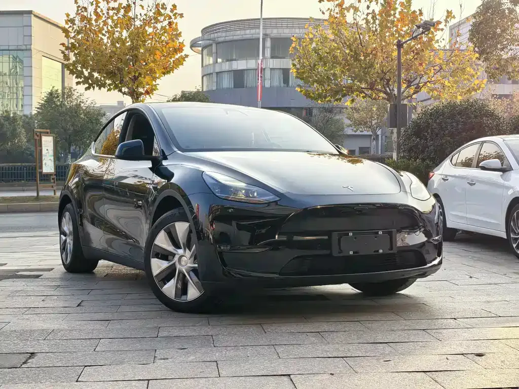 Tesla Model Y — фото 10