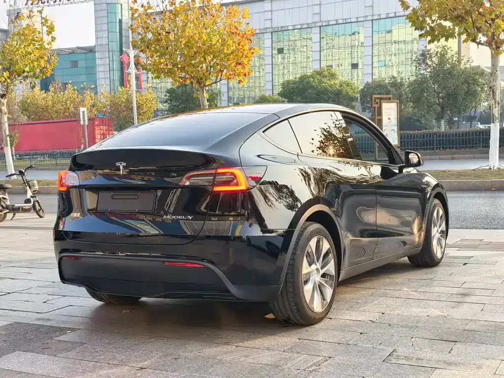 Tesla Model Y — фото 6