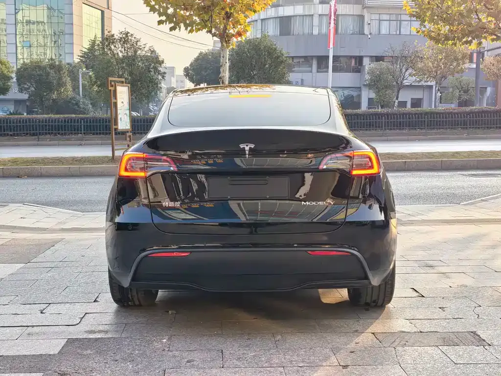 Tesla Model Y — фото 9