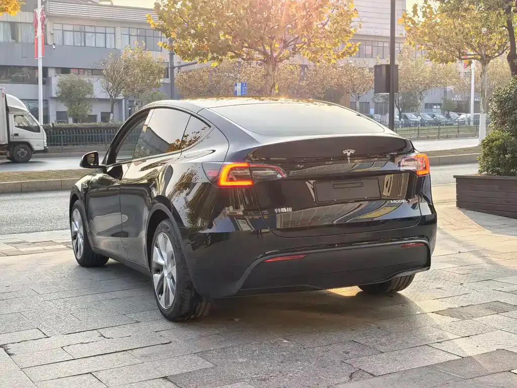 Tesla Model Y — фото 8
