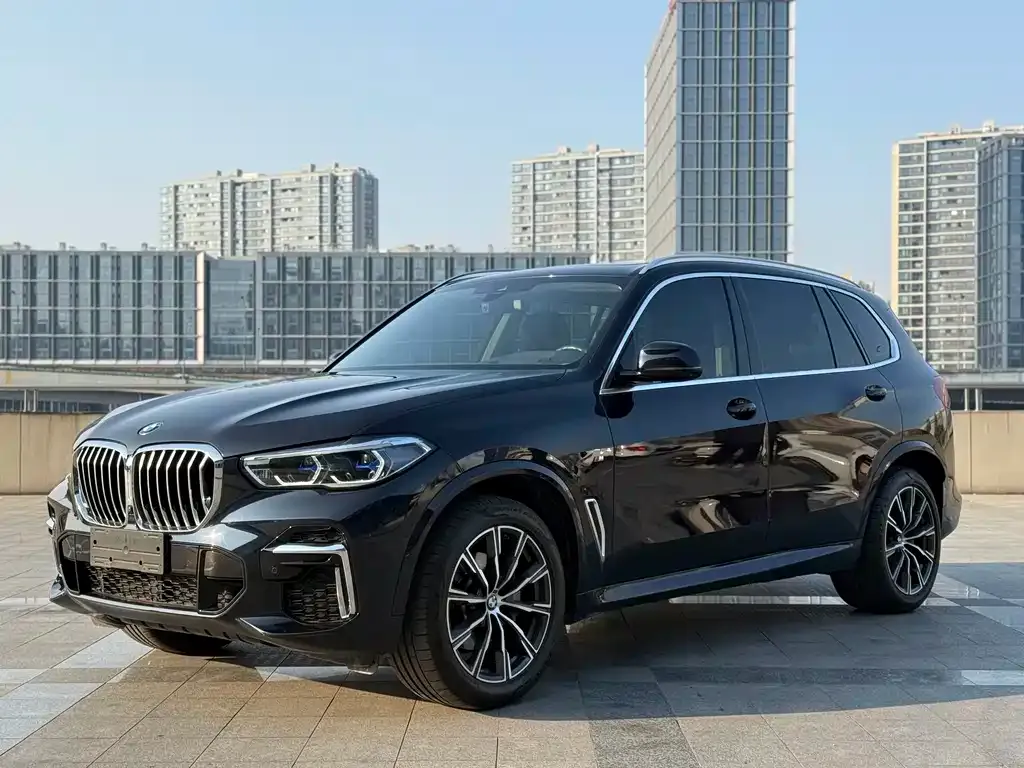 BMW X5 2022 из CN, фото 1