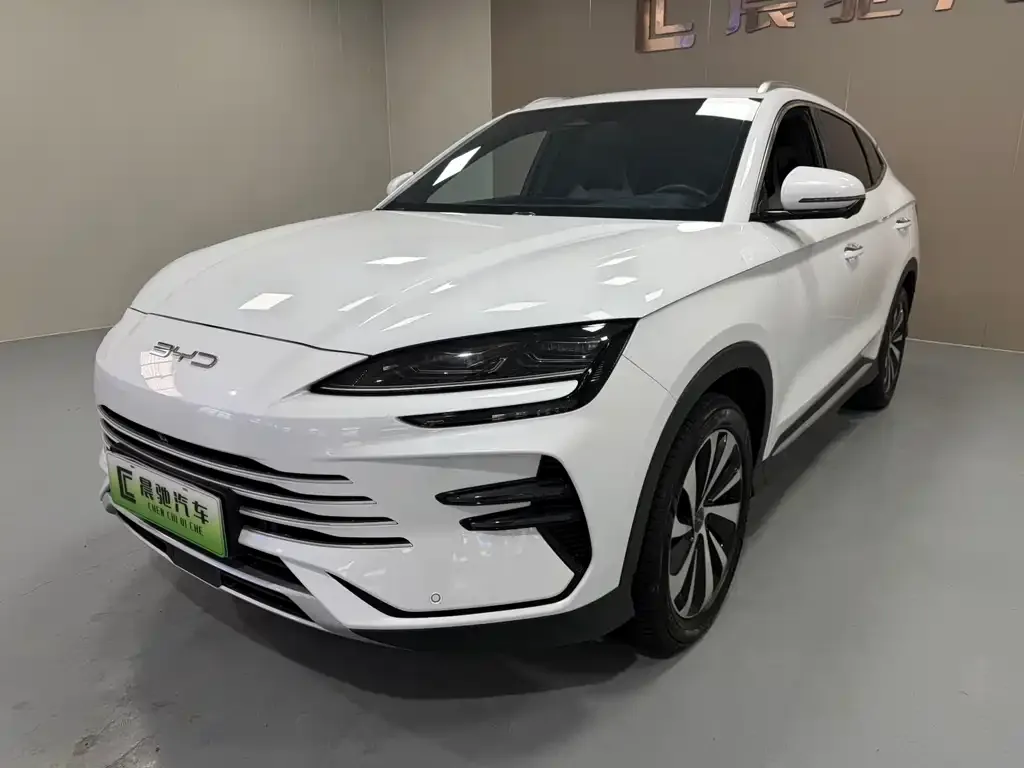 BYD PLUS New Energy 2024 из CN, фото 1