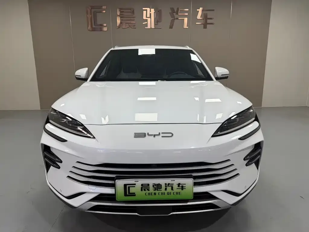 BYD PLUS New Energy 2024 из CN, фото 4