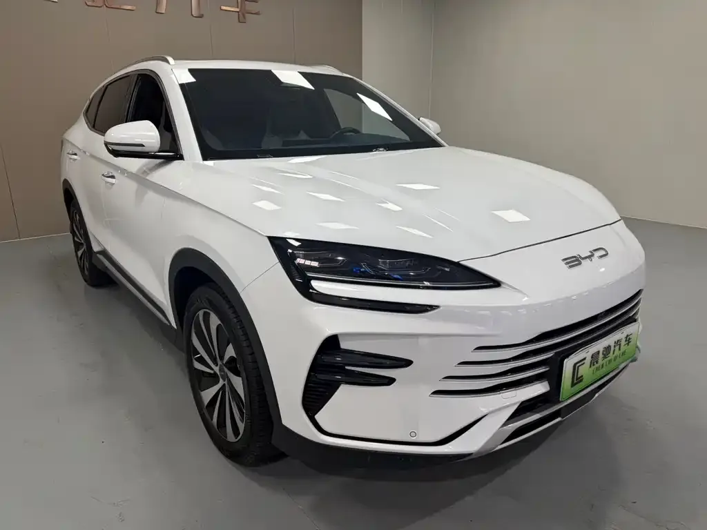 BYD PLUS New Energy 2024 из CN, фото 2