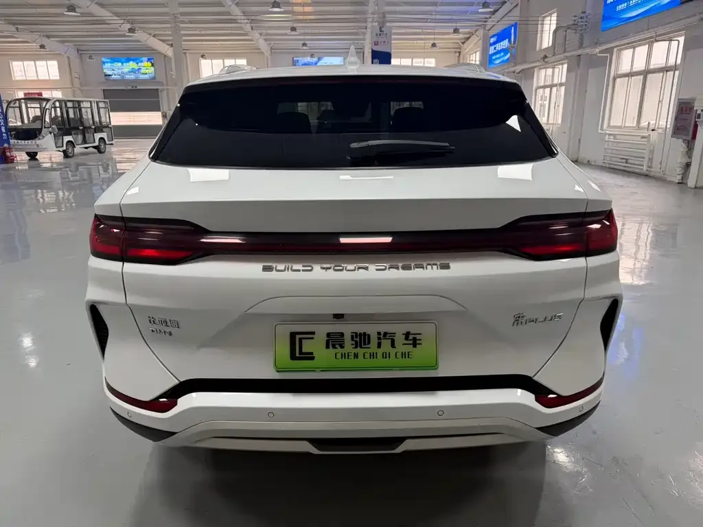 BYD PLUS New Energy 2024 из CN, фото 8