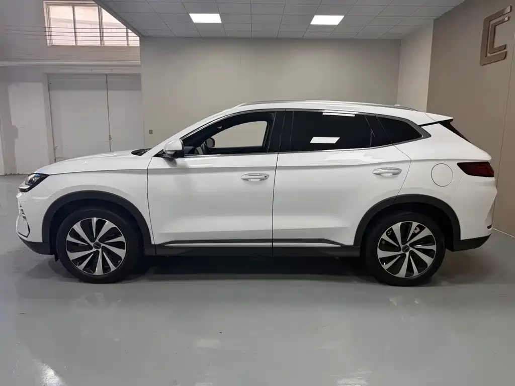 BYD PLUS New Energy 2024 из CN, фото 5