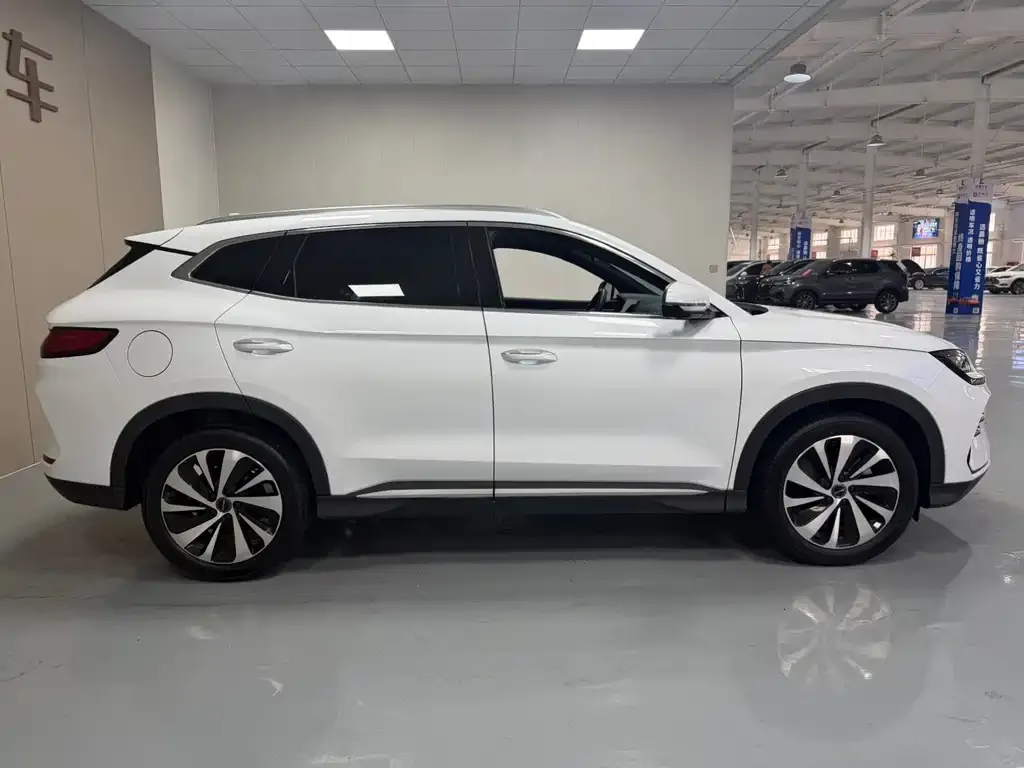 BYD PLUS New Energy 2024 из CN, фото 6
