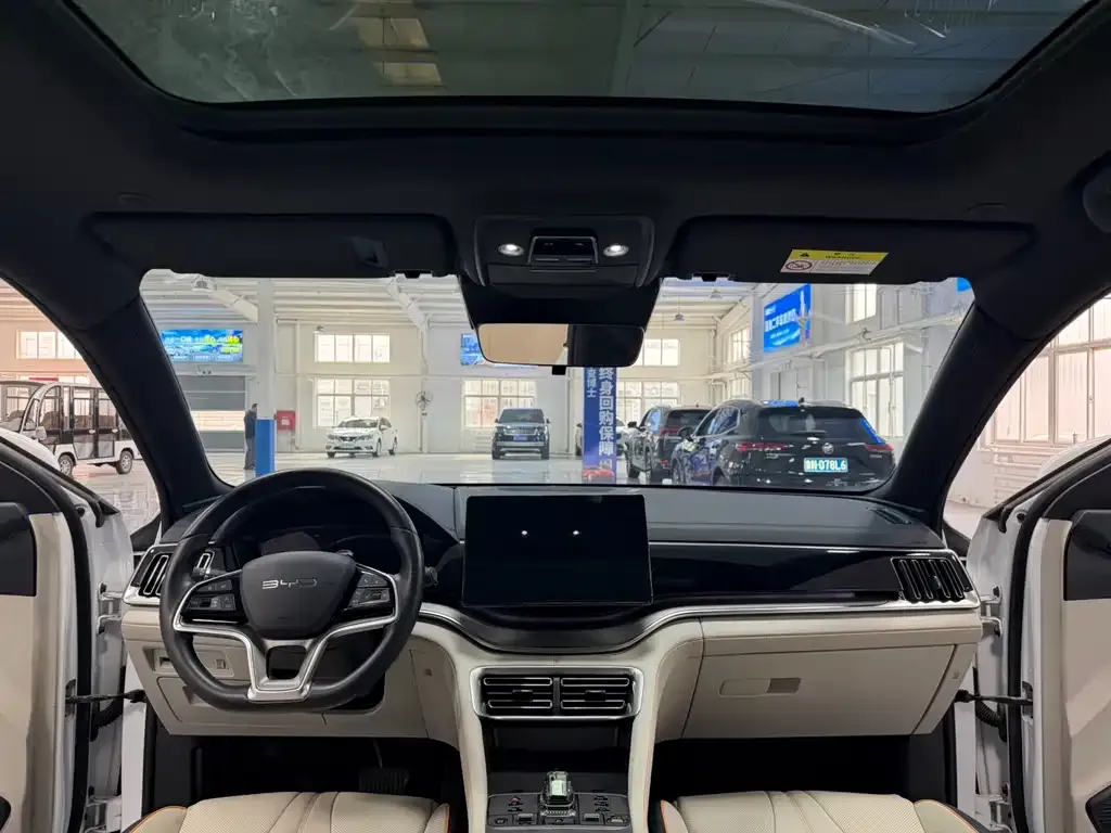 BYD PLUS New Energy 2024 из CN, фото 10