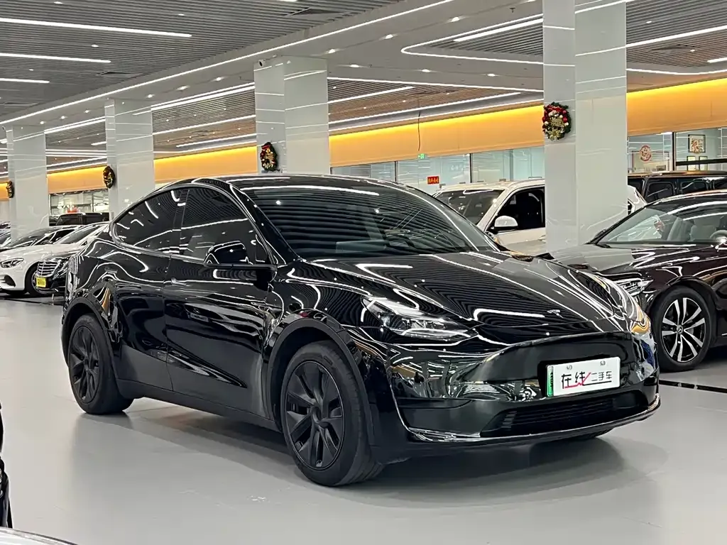 Tesla Model Y — фото 10