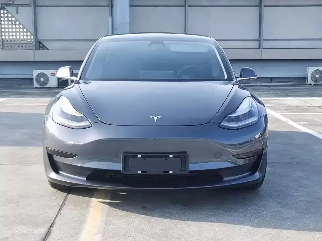 Tesla Model 3 2021 из CN, фото 2