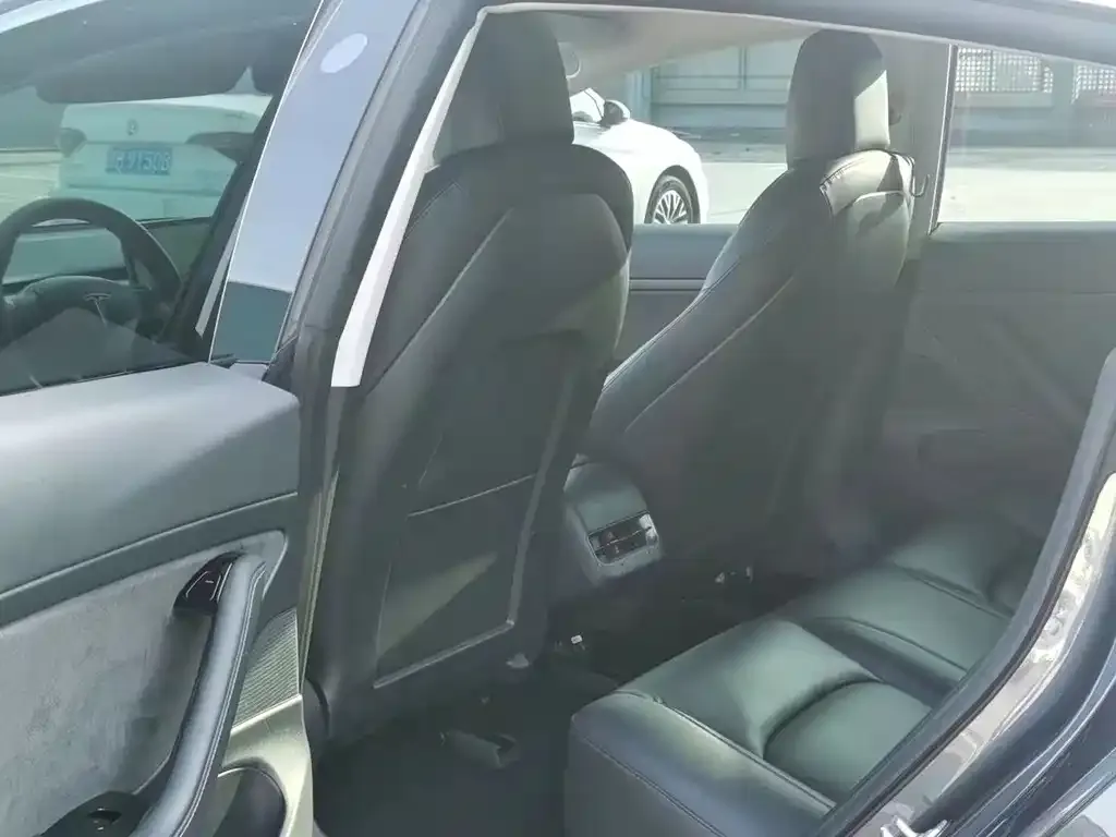 Tesla Model 3 2021 из CN, фото 4