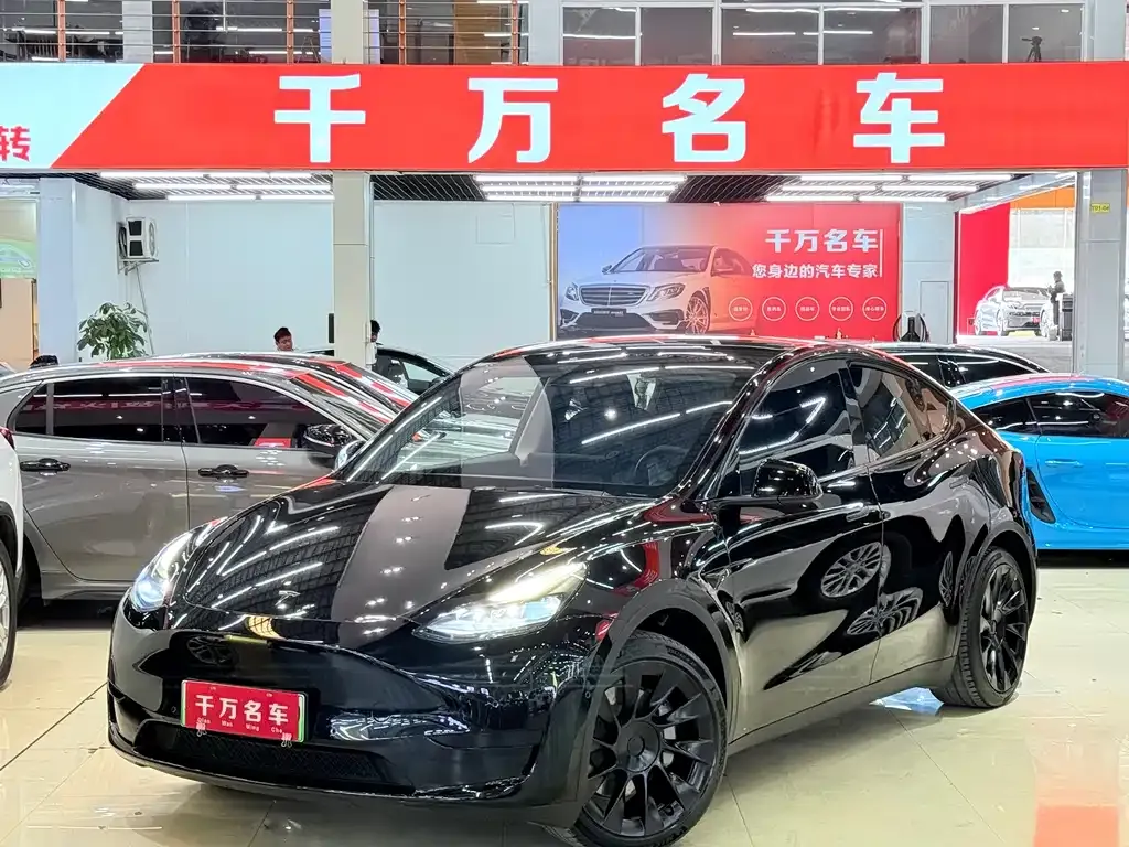 Tesla Model Y — фото 1