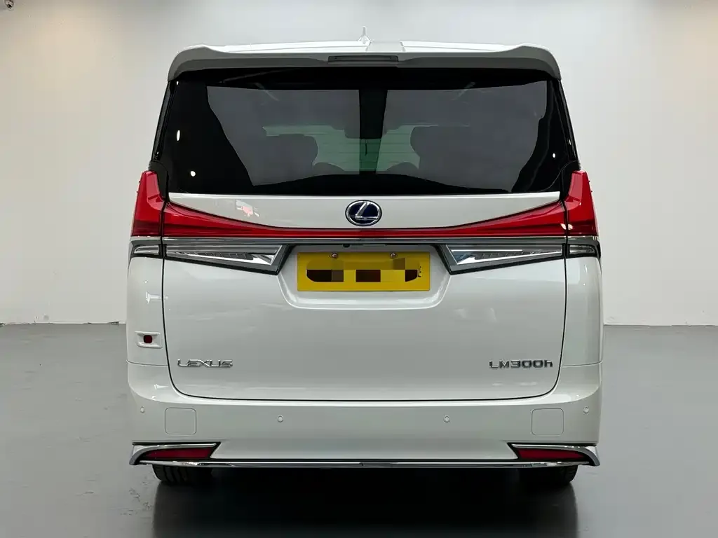 Lexus LM 2022 из CN, фото 2