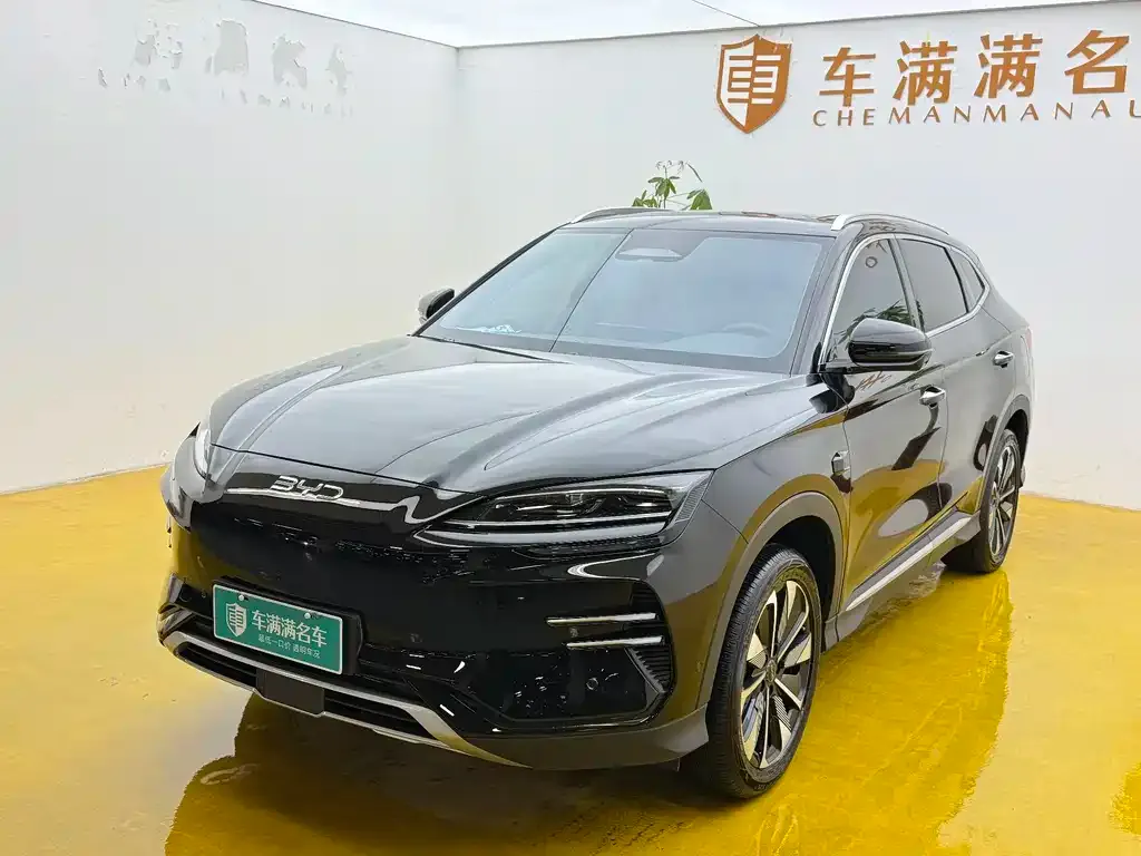 BYD PLUS New Energy — фото 1