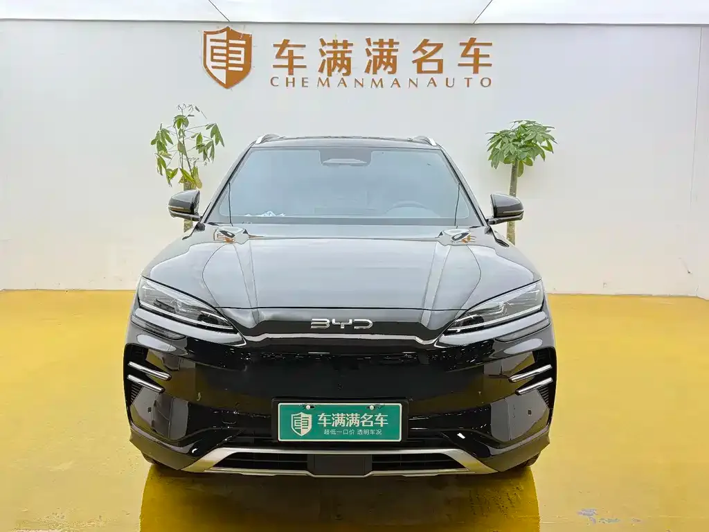 BYD PLUS New Energy — фото 2