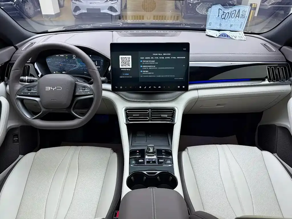 BYD PLUS New Energy — фото 10