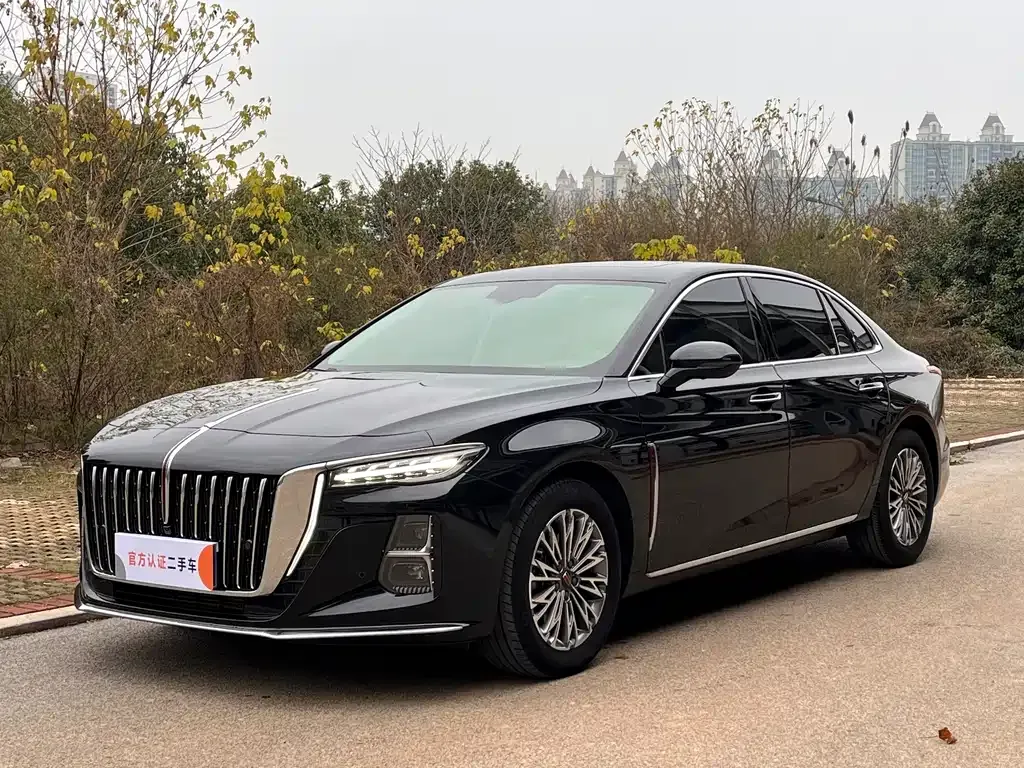 Hongqi H5 2024 из CN, фото 1