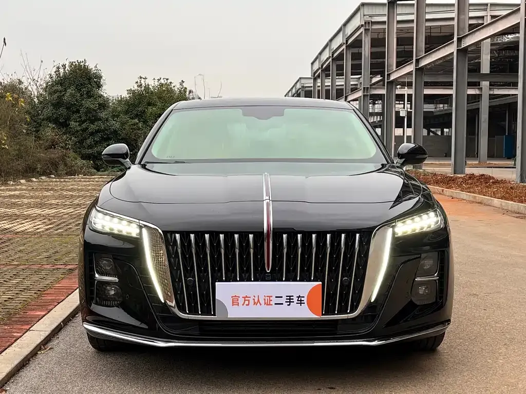 Hongqi H5 2024 из CN, фото 7