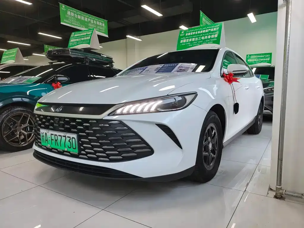 BYD Qin PLUS 2025 из CN, фото 1