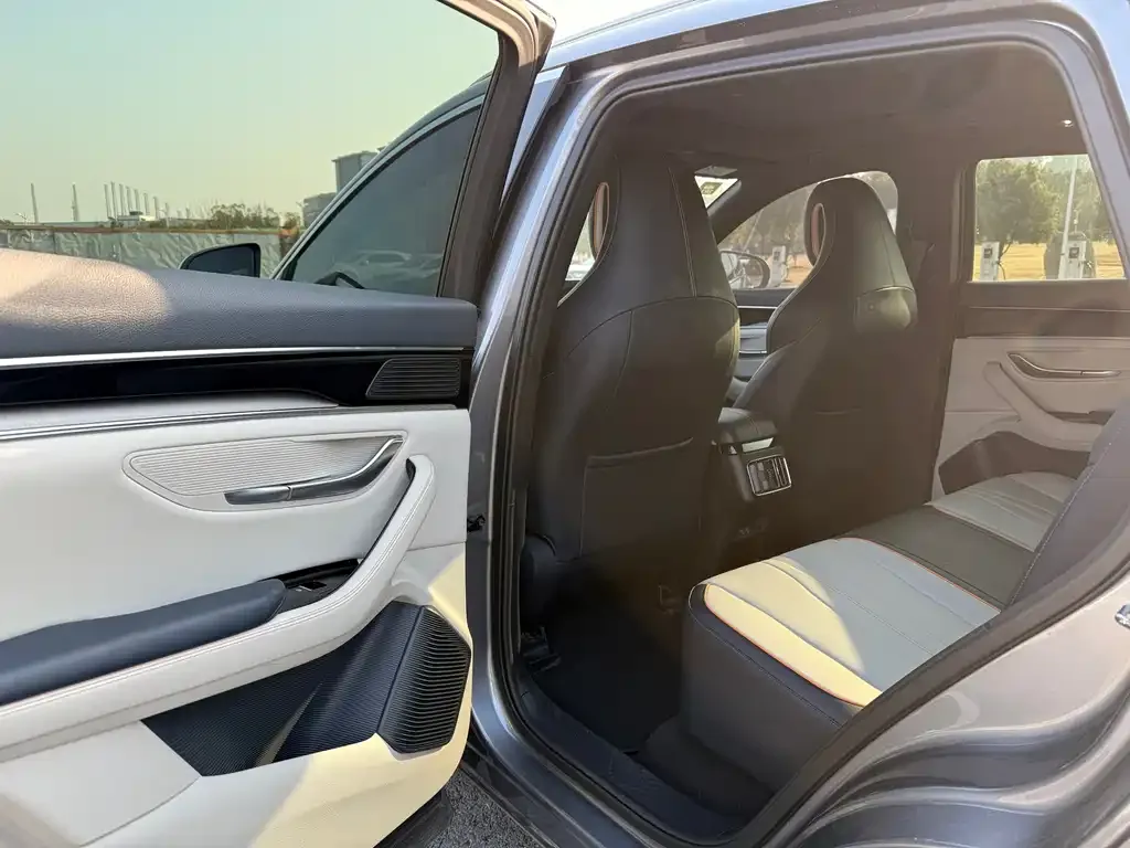 BYD PLUS New Energy 2022 из CN, фото 4