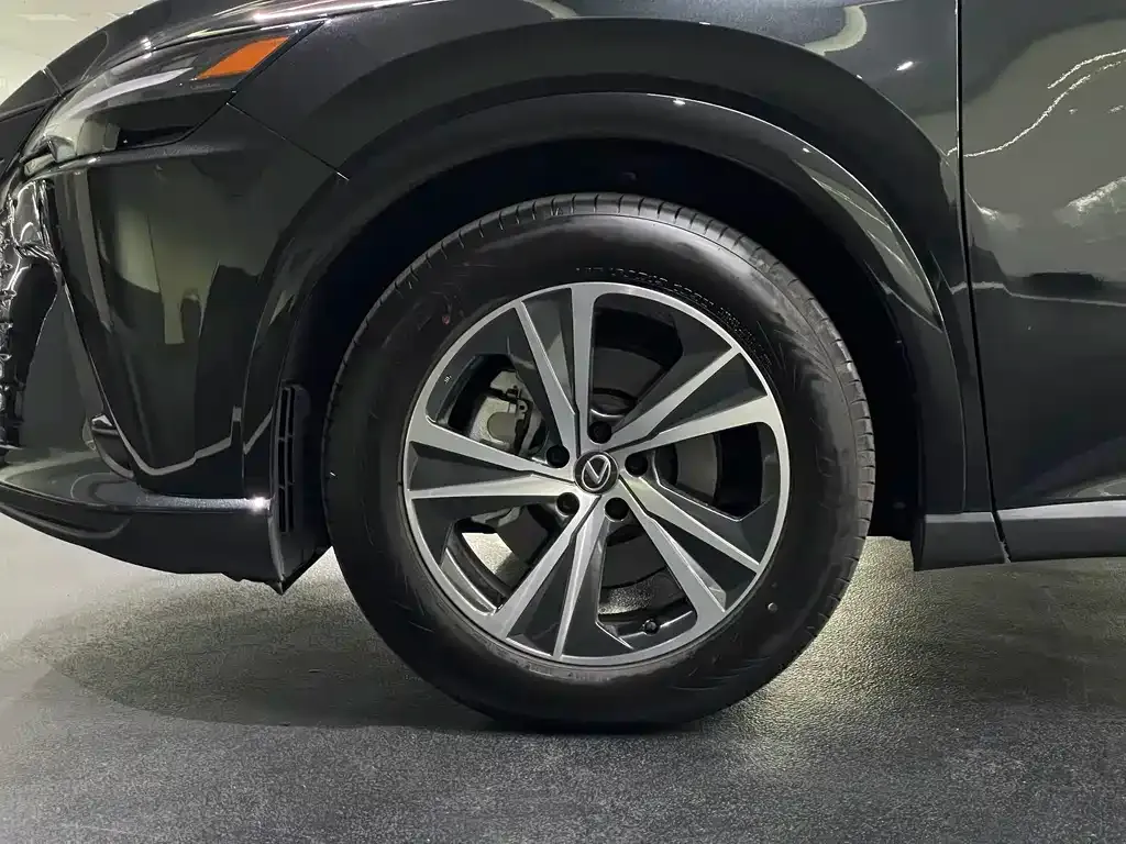 Lexus RX — фото 9