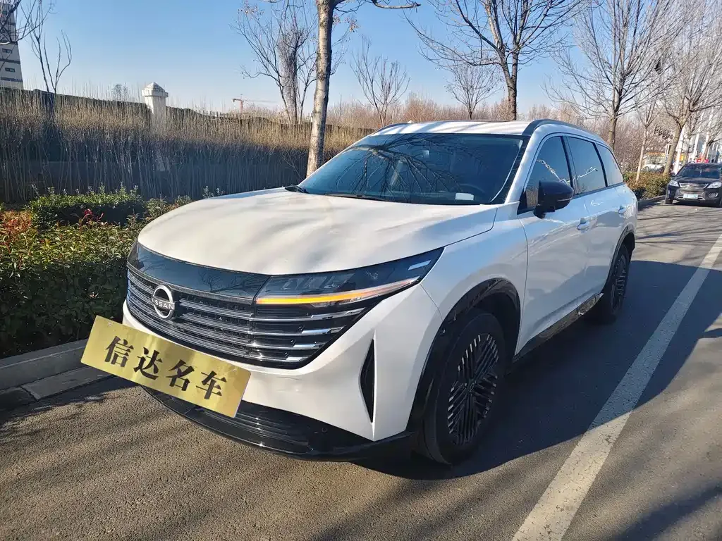 Nissan Teramont 2024 из CN, фото 1