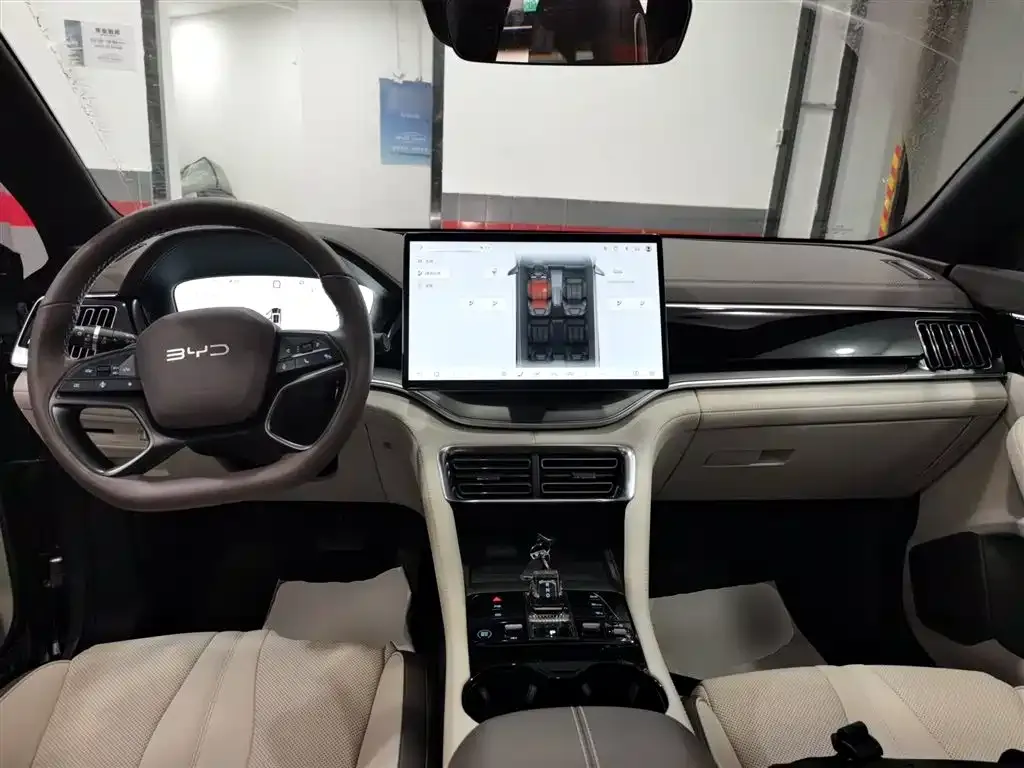 BYD PLUS New Energy — фото 10