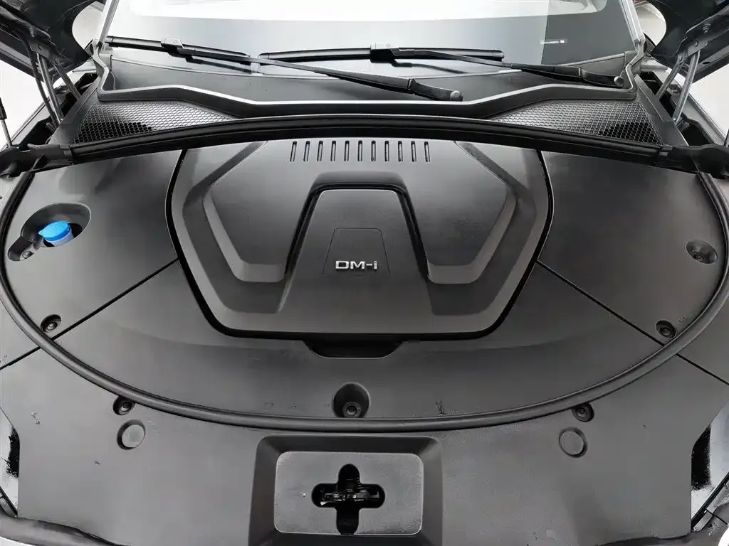 BYD PLUS New Energy 2025 из CN, фото 9