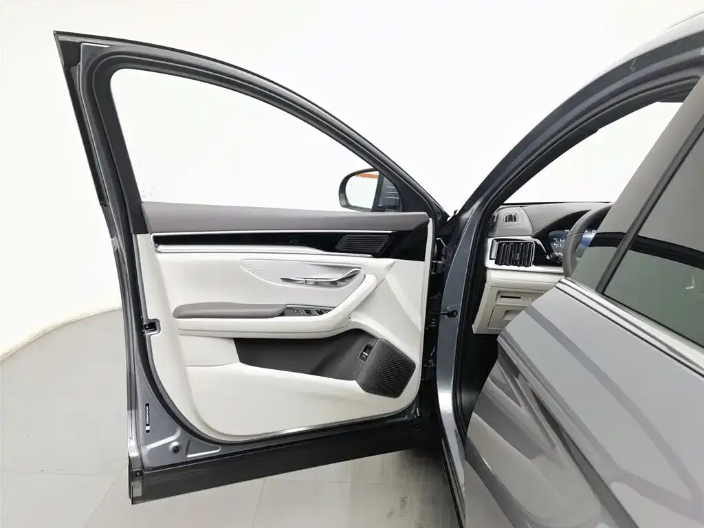 BYD PLUS New Energy 2025 из CN, фото 4