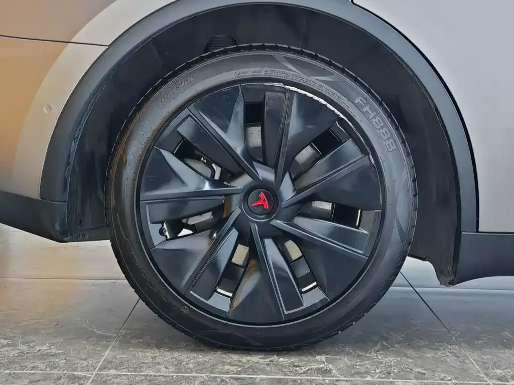 Tesla Model Y — фото 10