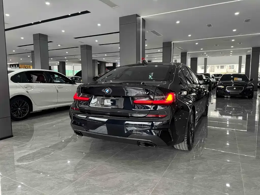 BMW 3 Series 2021 из CN, фото 7