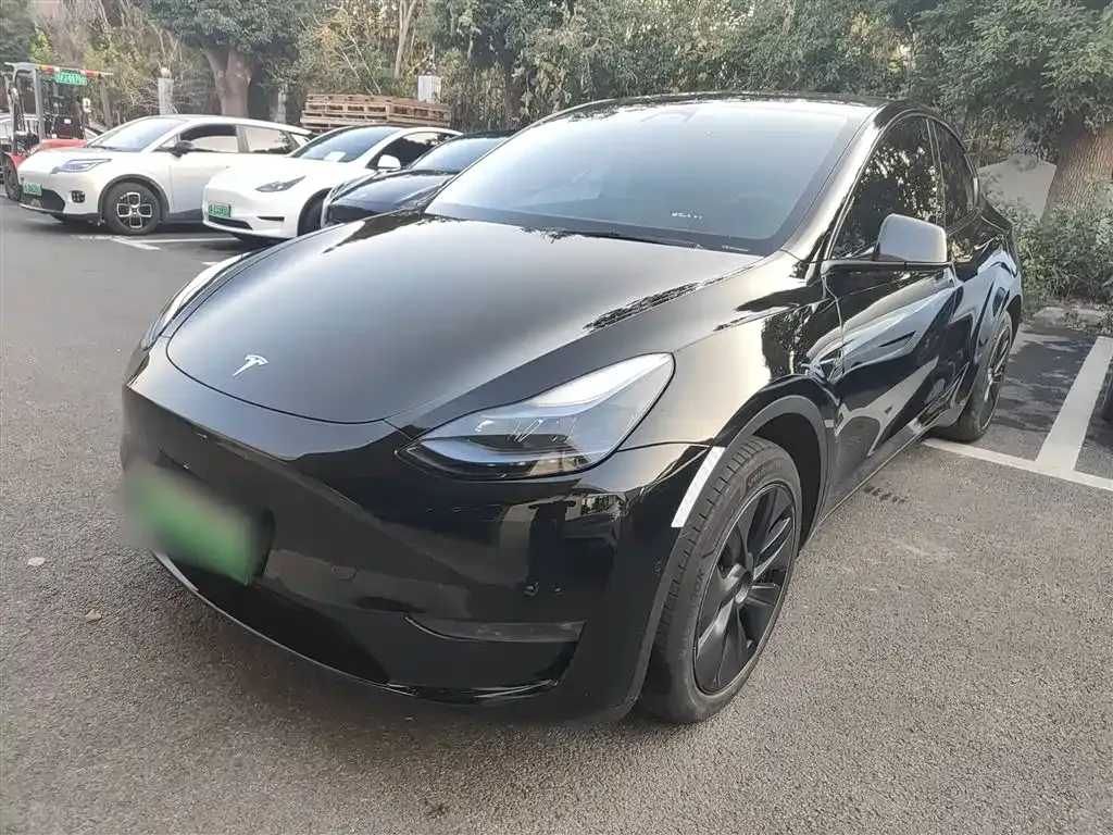 Tesla Model Y — фото 10