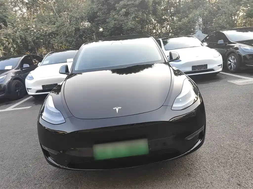 Tesla Model Y — фото 6