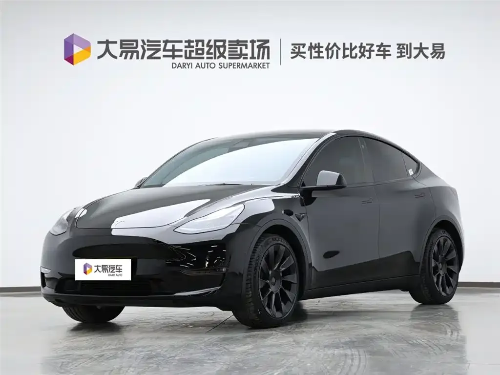 Tesla Model Y 2021 из CN, фото 1