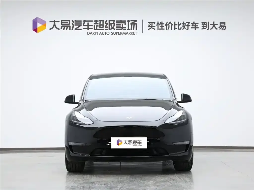 Tesla Model Y 2021 из CN, фото 2