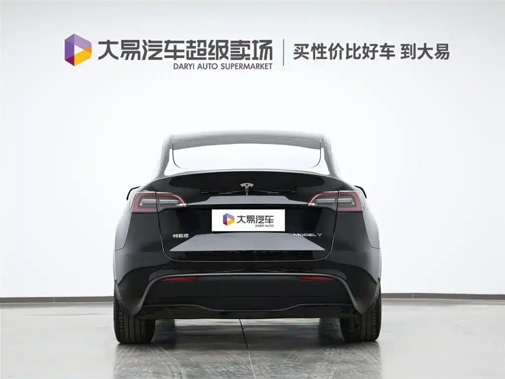 Tesla Model Y 2021 из CN, фото 3
