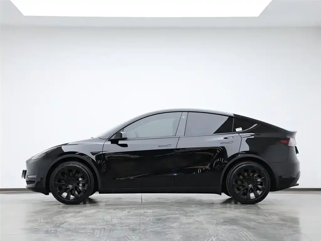 Tesla Model Y 2021 из CN, фото 8