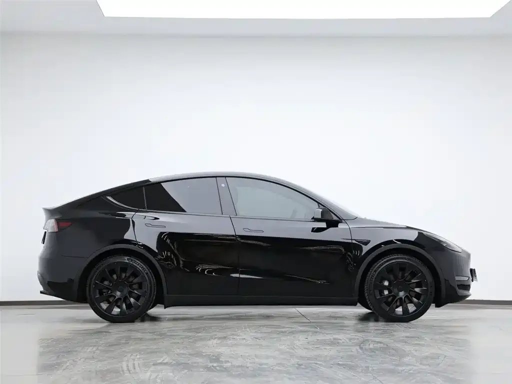 Tesla Model Y 2021 из CN, фото 6