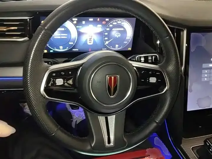 Hongqi HS7 PHEV 2024 из CN, фото 6