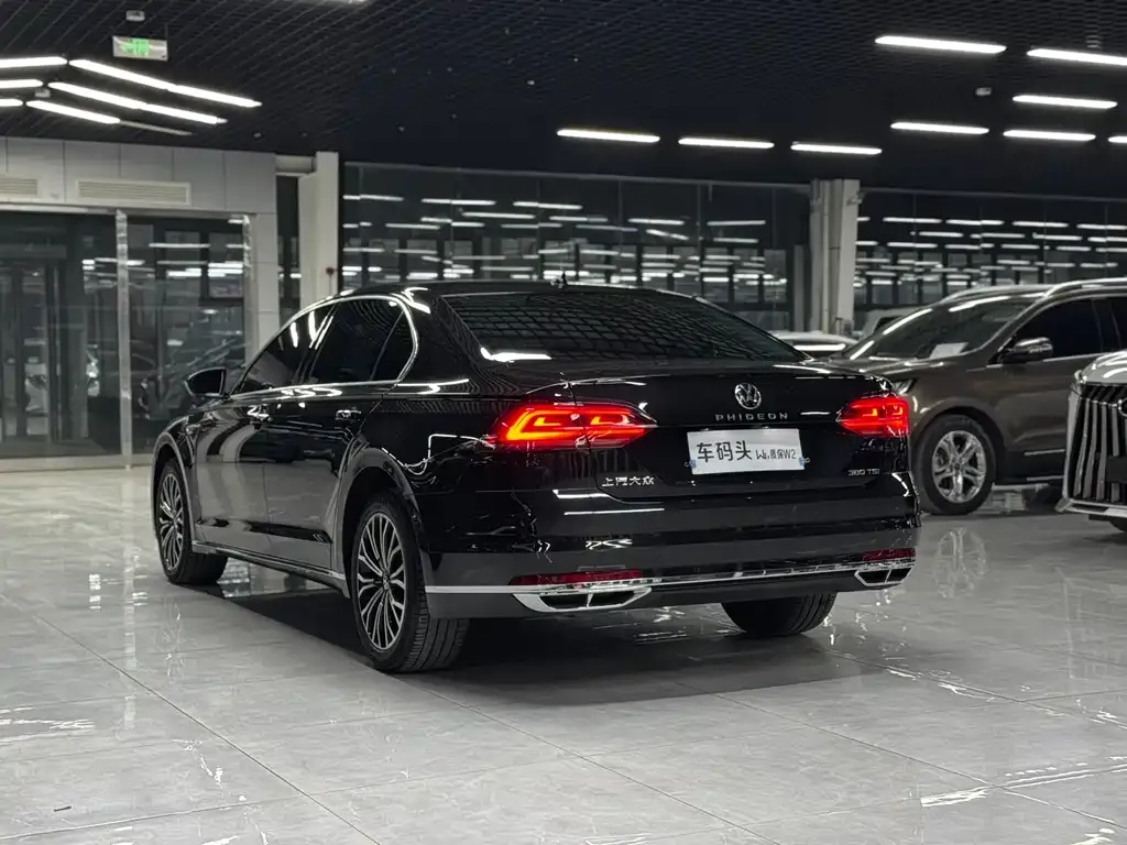 Volkswagen Phideon — фото 9