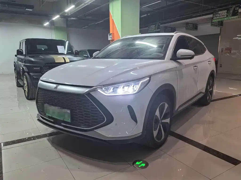 BYD PLUS New Energy 2022 из CN, фото 1