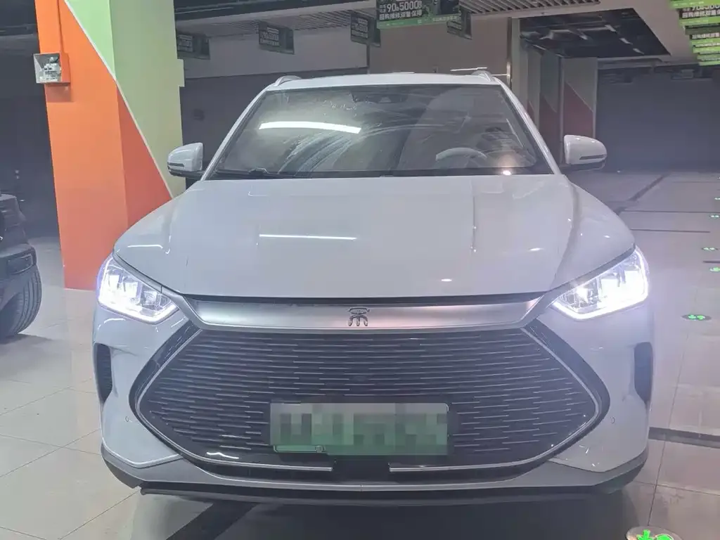 BYD PLUS New Energy 2022 из CN, фото 2