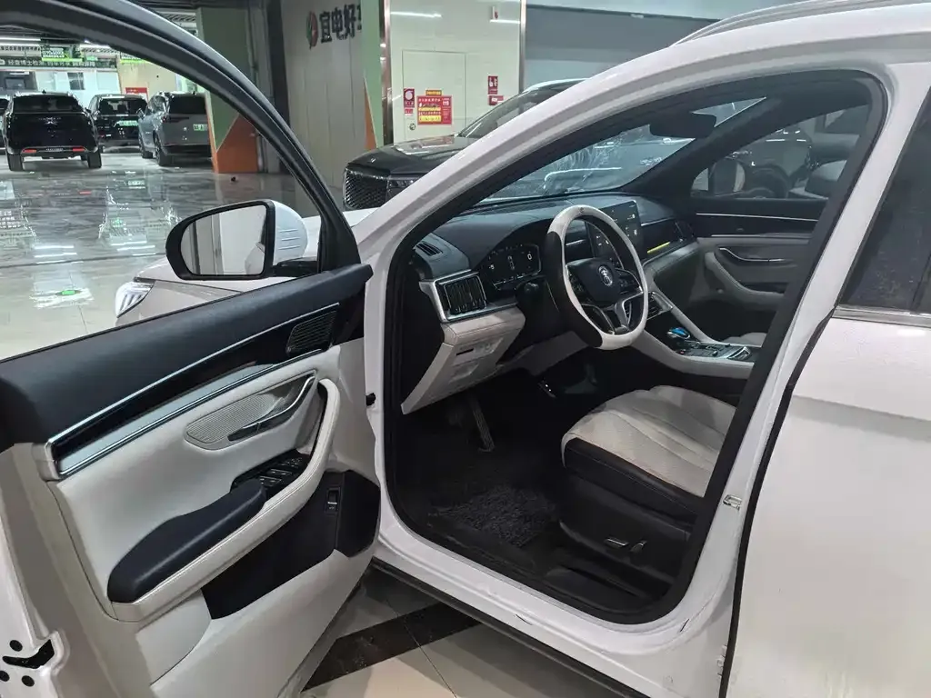BYD PLUS New Energy 2022 из CN, фото 9