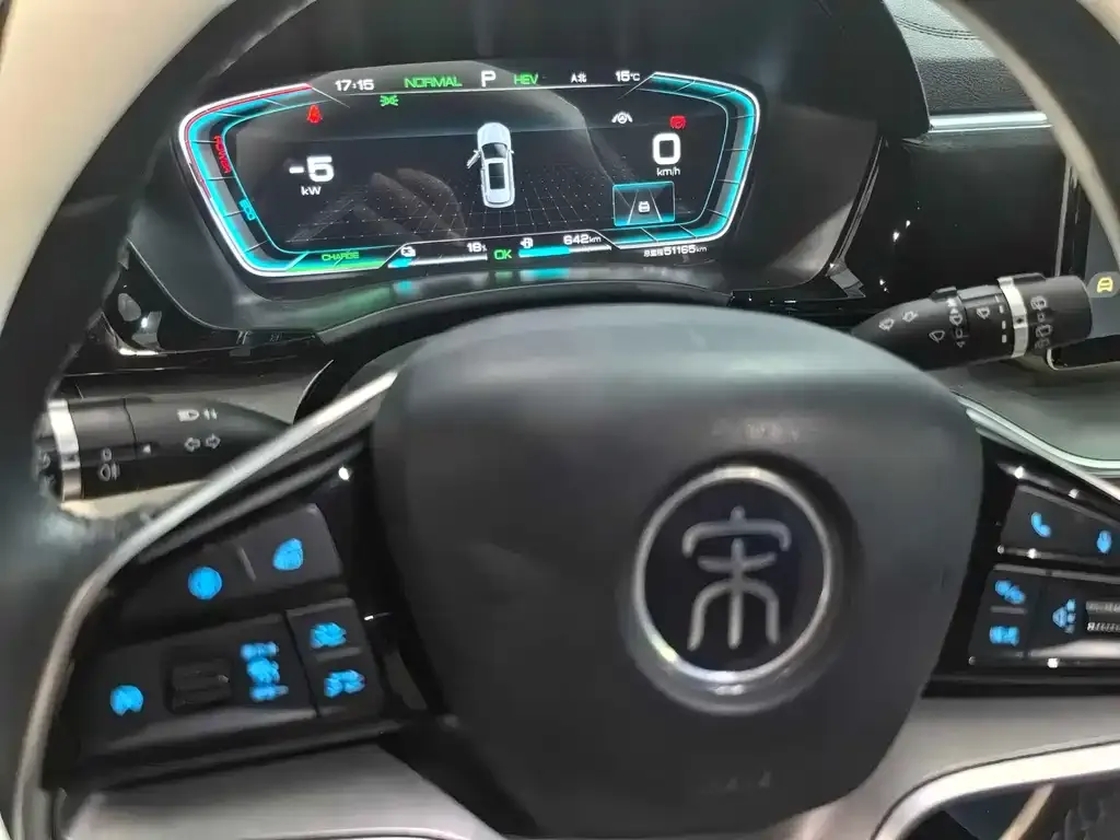 BYD PLUS New Energy 2022 из CN, фото 5