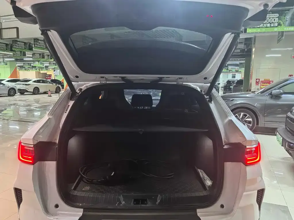 BYD PLUS New Energy 2022 из CN, фото 7