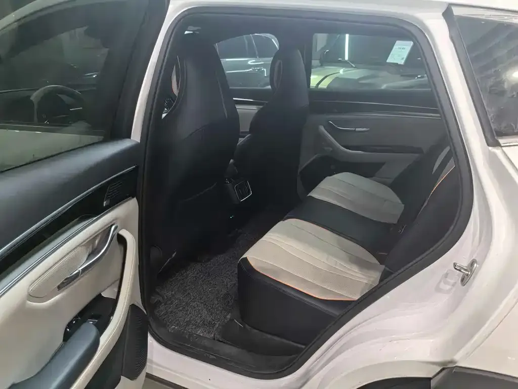 BYD PLUS New Energy 2022 из CN, фото 3