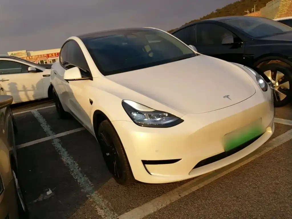 Tesla Model Y 2022 из CN, фото 5
