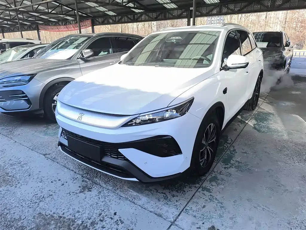 BYD Pro New Energy 2025 из CN, фото 1