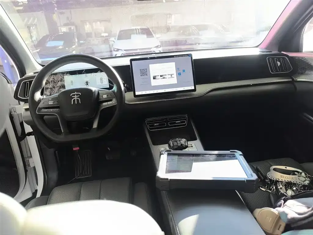 BYD Pro New Energy 2025 из CN, фото 10