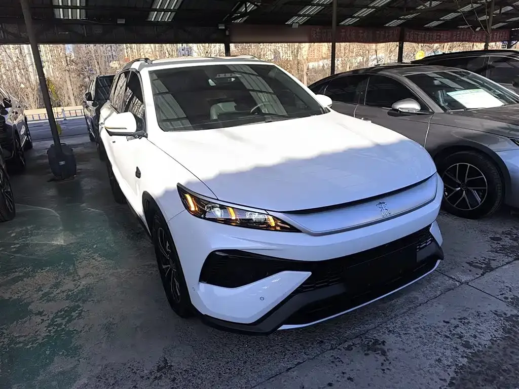BYD Pro New Energy 2025 из CN, фото 4